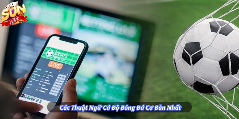 Các Thuật Ngữ Cá Độ Bóng Đá Cơ Bản Nhất