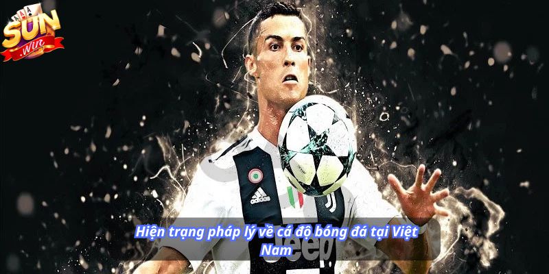 Hiện trạng pháp lý về cá độ bóng đá tại Việt Nam